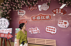 过程--恋爱辅助 结果--修成正果